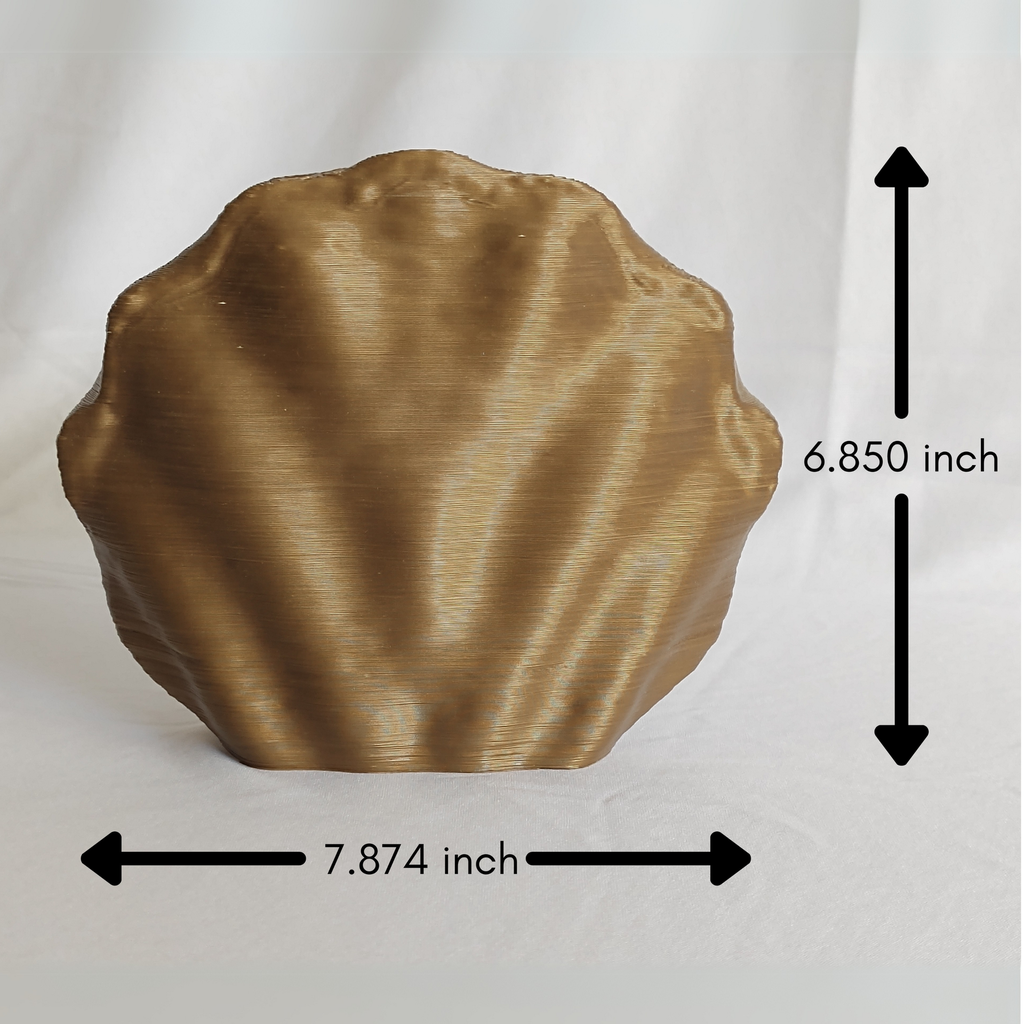 Centennial Mollusk Dimensions