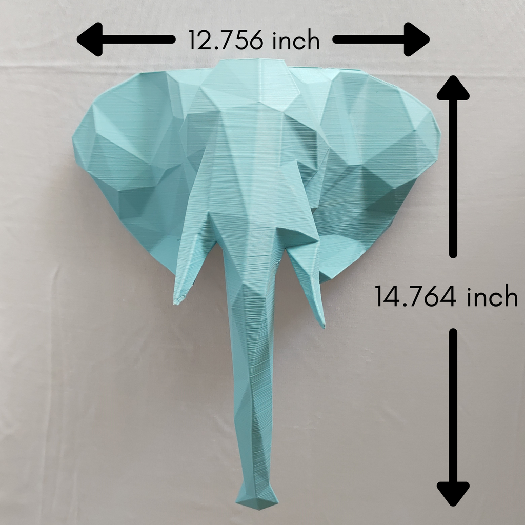 Pacific Tusker Dimensions