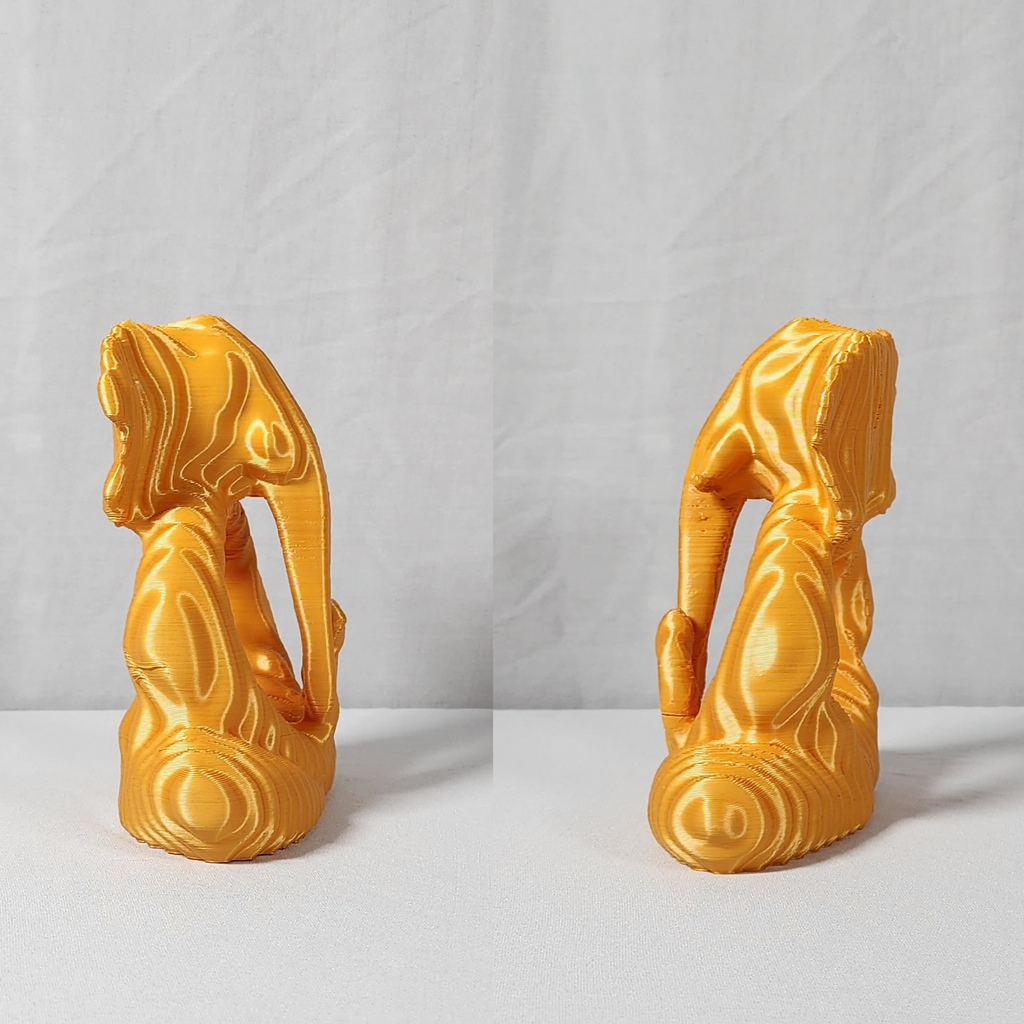 Harmonic Ekdant Side View