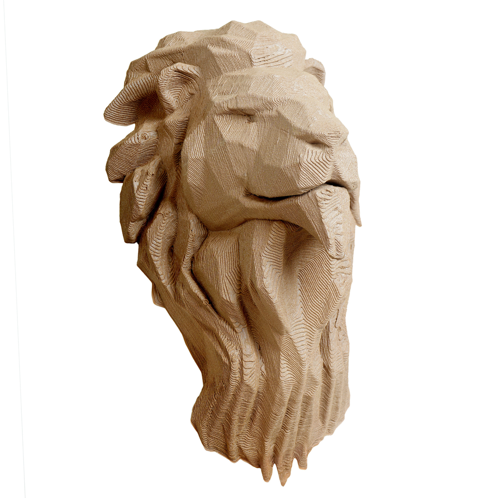 Wooden Braveheart Isometric View